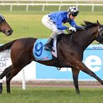 Schumacher an all the way winner at Sandown Schumacher an all the way winner at Sandown